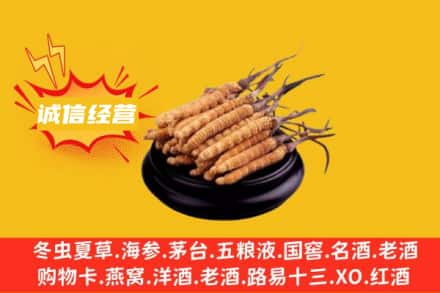 玉溪回收冬虫夏草